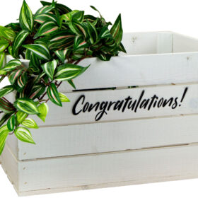 johanna-weiss-congratulations-schwarz-vorne-deko