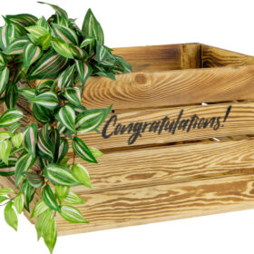 johanna-geflammt-congratulations-schwarz-vorne-deko