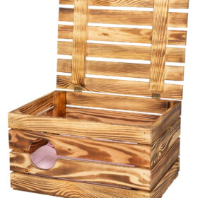 studio-session-686 (1)