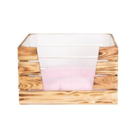 Studio Session-663-2